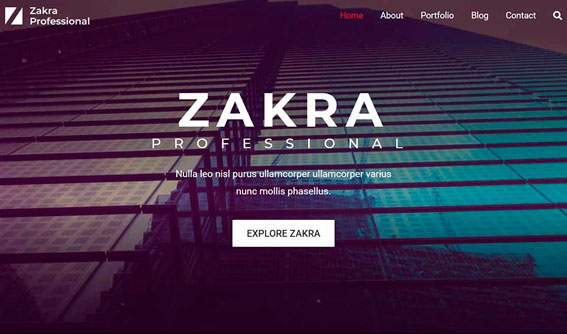 zakra-pro Plano Plus