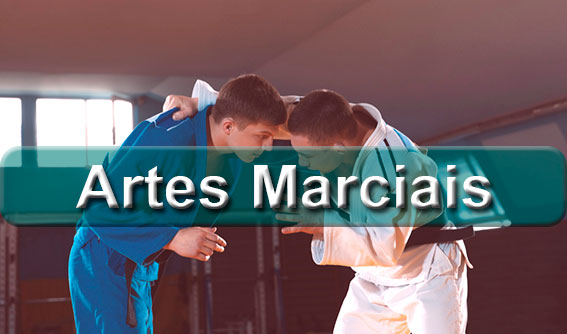 Artes marciais